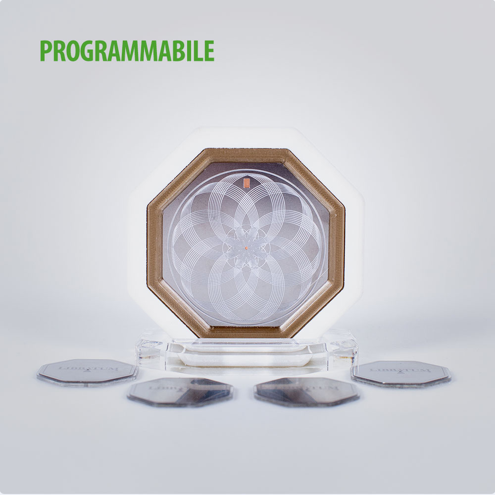 Libratum Templum Plus
