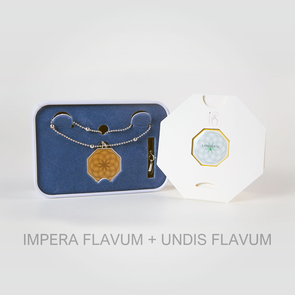 com_flav_flav.jpg